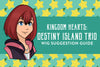 Kingdom Hearts: Destiny Island Trio Wig Suggestion Guide
