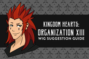 Kingdom Hearts: Organization XIII Wig Suggestion Guide
