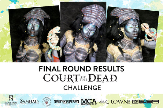 Best Face Forward 2017 Final Challenge Results